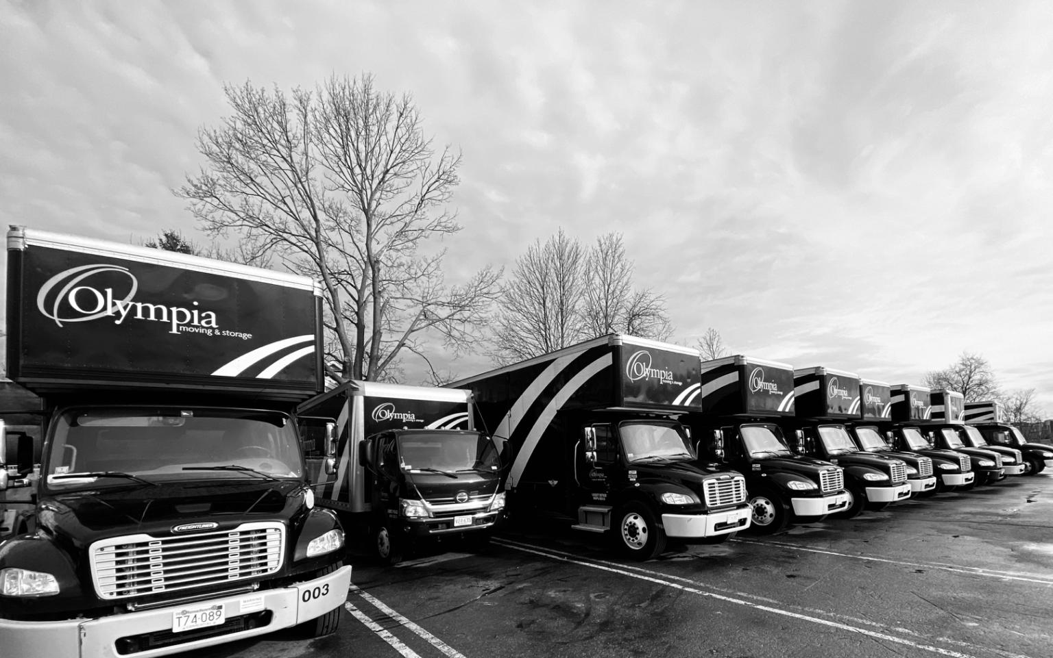 Olympia movers completing an office relocation