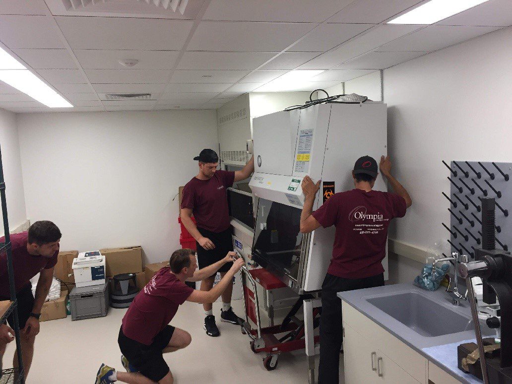 Moving equipment including dollies, straps and furniture pads
